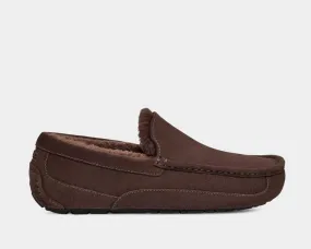 Ascot Suede Ascot Suede