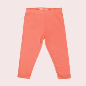 CORAL ROSE LEGGING CORAL ROSE LEGGING